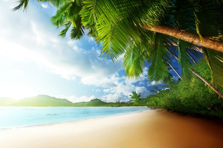 tropics, Coast, Palma, Clouds, Beach, Mahe, Island, Seychelles, Nature HD Wallpaper Desktop Background