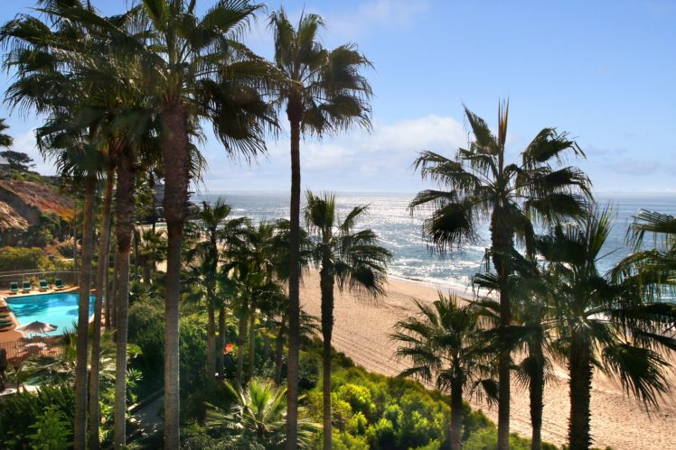 usa, Coast, Palma, Trees, Laguna, Beach, Nature HD Wallpaper Desktop Background