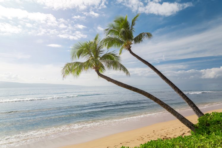 usa, Coast, Waves, Sky, Ocean, Hawaii, Palma, Sand, Nature HD Wallpaper Desktop Background