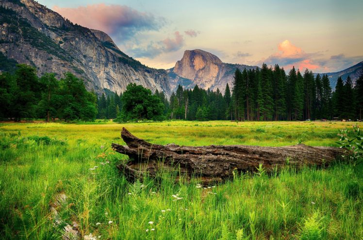 usa, Parks, Mountains, Forests, Scenery, Yosemite, Grass, Nature HD Wallpaper Desktop Background