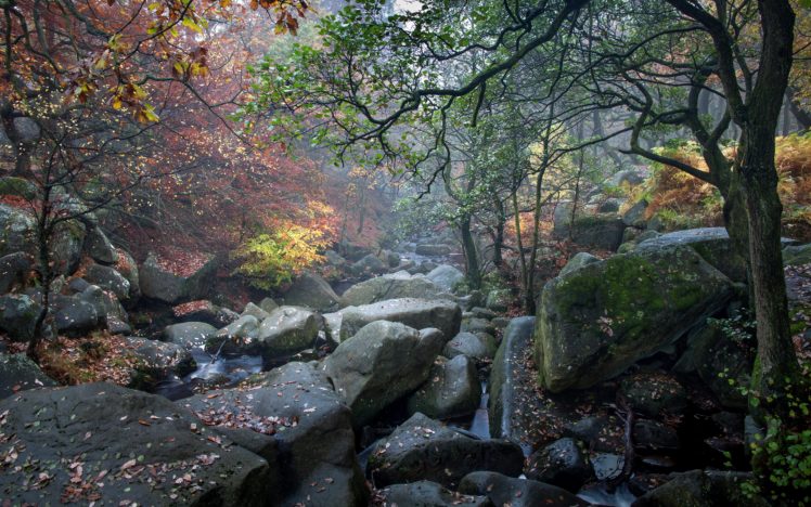 united, Kingdom, Forests, Stones, Autumn, Trees, Foliage, Padley, Gorge, Nature HD Wallpaper Desktop Background