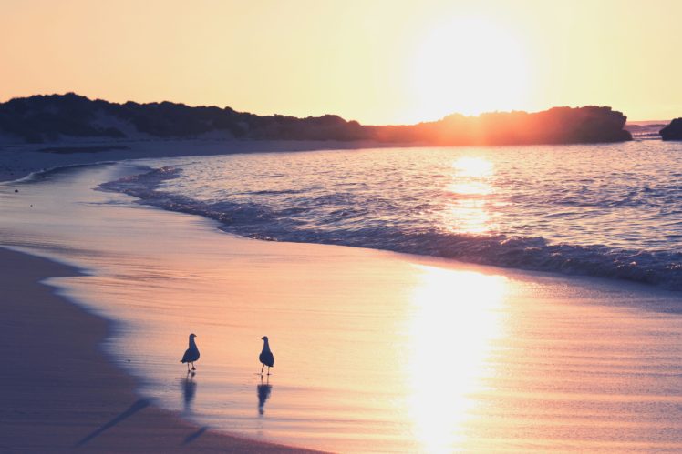 bird, Couple, Picture, Reflection, Sand, Seagulls, Stones, Sunset, Wallpaper, Wave HD Wallpaper Desktop Background