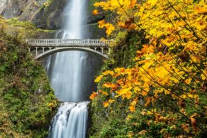 nature, Forest, Bridge, Autumn, Amazing, Beauty, Waterfall, Landscape