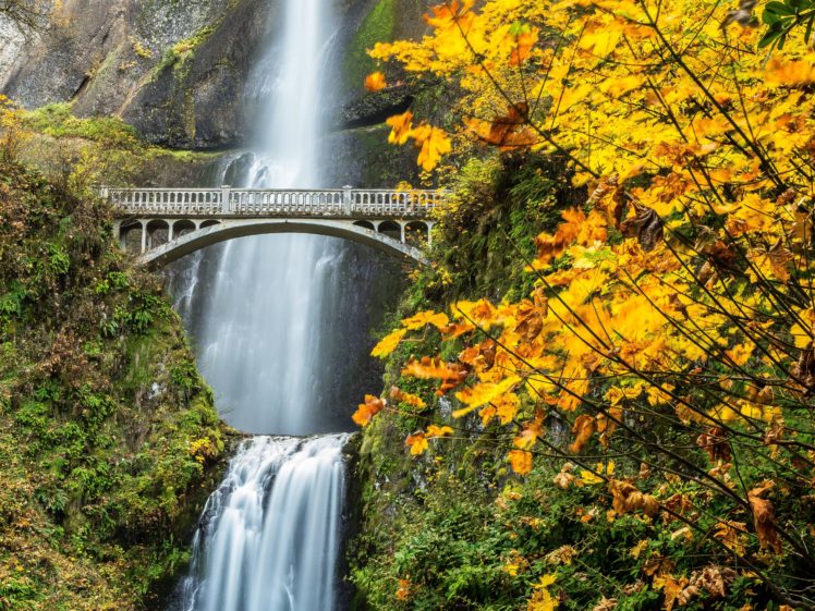 nature, Forest, Bridge, Autumn, Amazing, Beauty, Waterfall, Landscape HD Wallpaper Desktop Background