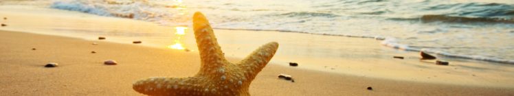 plage, Beach, Etoile, De, Mer, Sea, Star HD Wallpaper Desktop Background