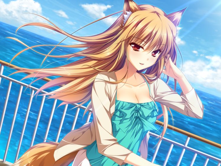 animal, Ears, Brown, Hair, Foxgirl, Game, Cg, Miyama, Kon, Otomimi, Infinity, Sky, Tail, Water HD Wallpaper Desktop Background