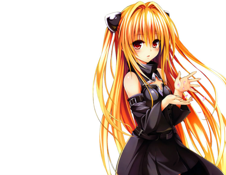 Blonde Hair Golden Darkness Long Hair Petals Red