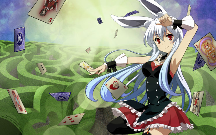kurousagi,  mondaiji tachi, Ga, Isekai, Kara, Kuru, Sou, Desu, Yo  , Mondaiji, Tachi, Ga, Isekai, Kara, Kuru, Sou, Desu, Yo HD Wallpaper Desktop Background