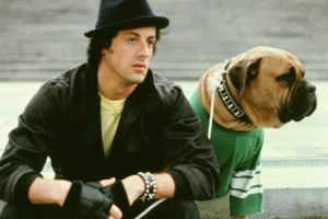 sylvester, Stallone, Rocky, Movies, 145,  2