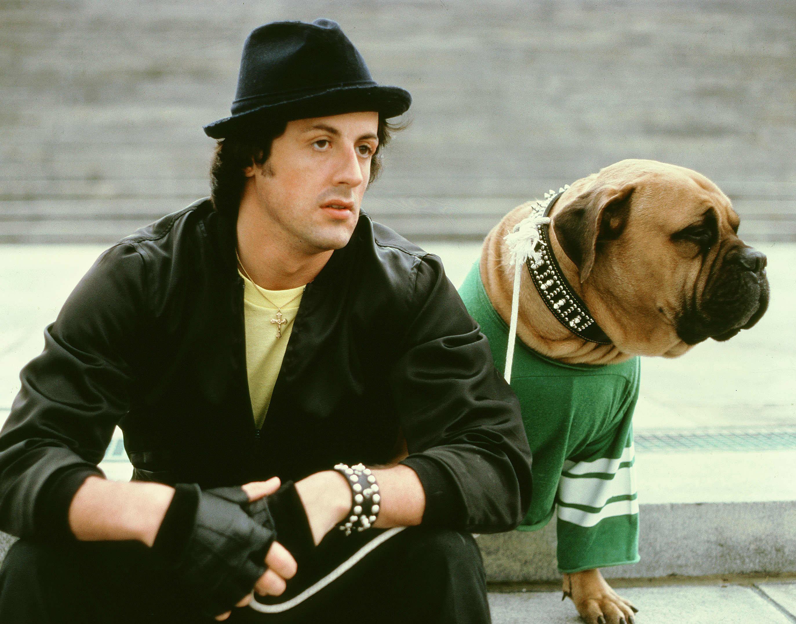 sylvester, Stallone, Rocky, Movies, 145,  2 Wallpaper