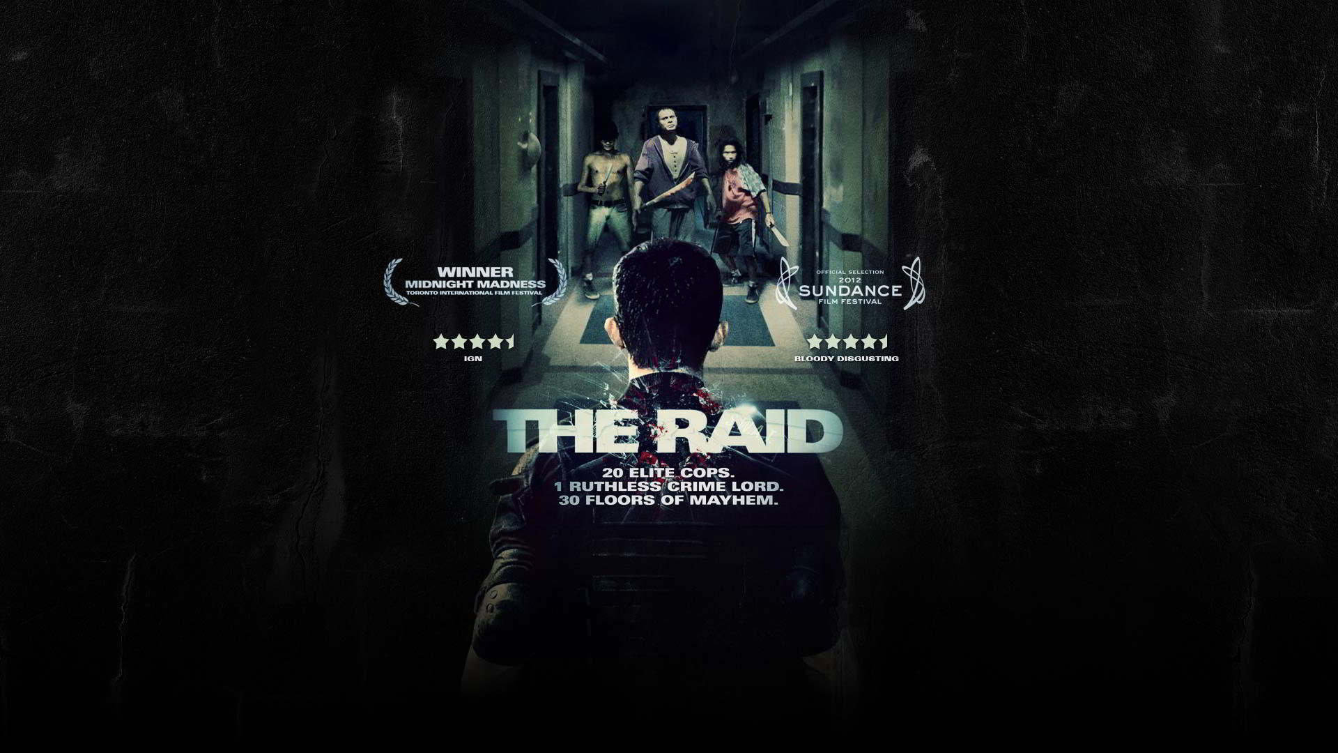 the raid, Martial, Arts, Action, Raid, Crime, Raid, Thriller,  4 Wallpaper