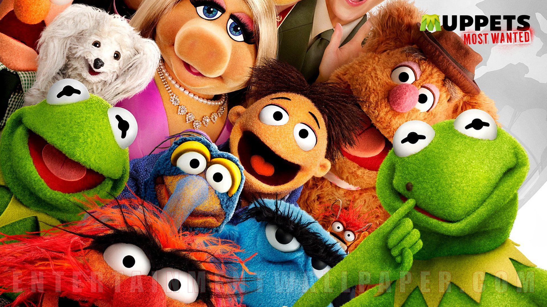 muppets, Most, Wanted, Adventure, Comedy, Crime, Puppet, Family, Poster Wallpaper