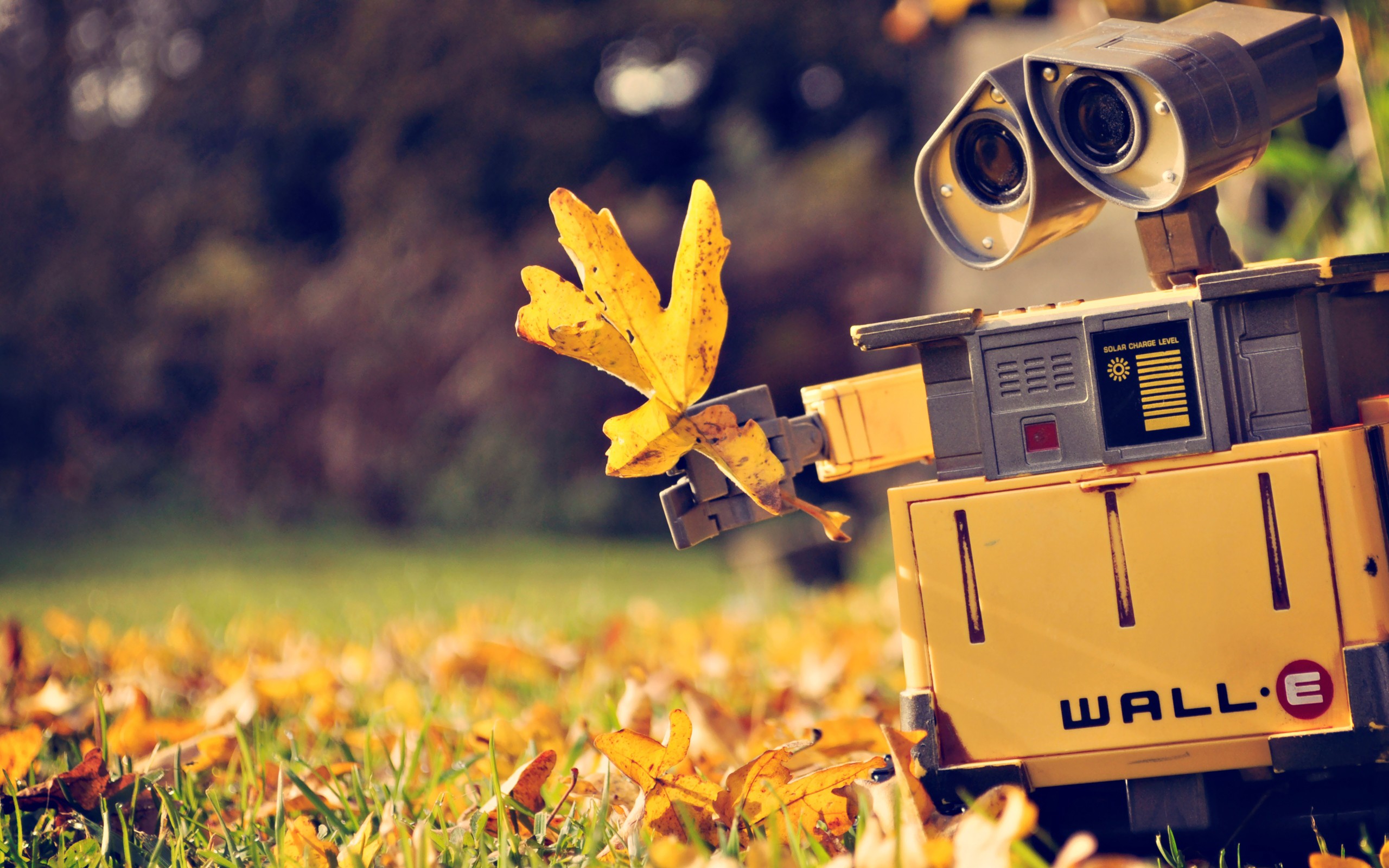 wall e, Robot, Autumn, Yellow, Leaf Wallpaper