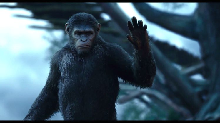 dawn of the apes, Action, Drama, Sci fi, Dawn, Planet, Apes, Monkey, Adventure HD Wallpaper Desktop Background