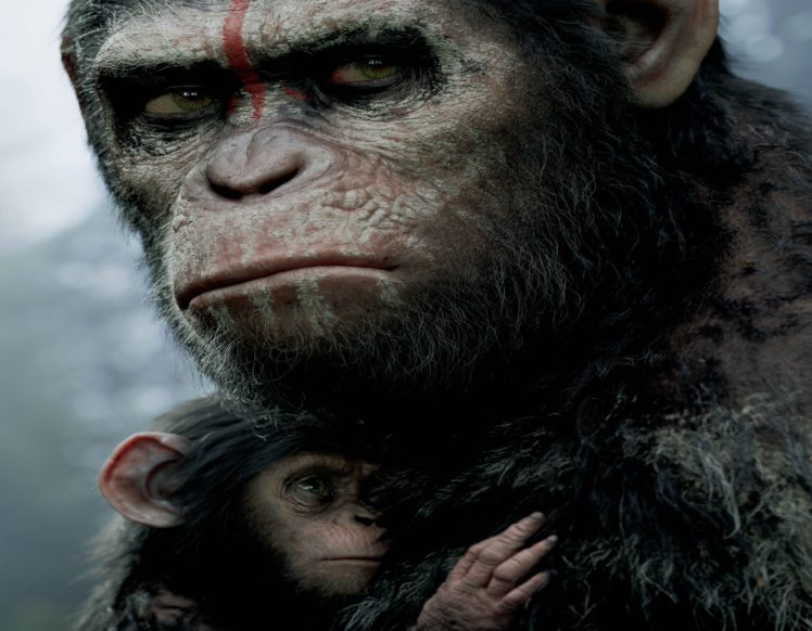 dawn of the apes, Action, Drama, Sci fi, Dawn, Planet, Apes, Monkey, Adventure HD Wallpaper Desktop Background