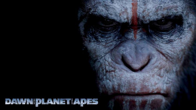 dawn of the apes, Action, Drama, Sci fi, Dawn, Planet, Apes, Monkey, Adventure HD Wallpaper Desktop Background