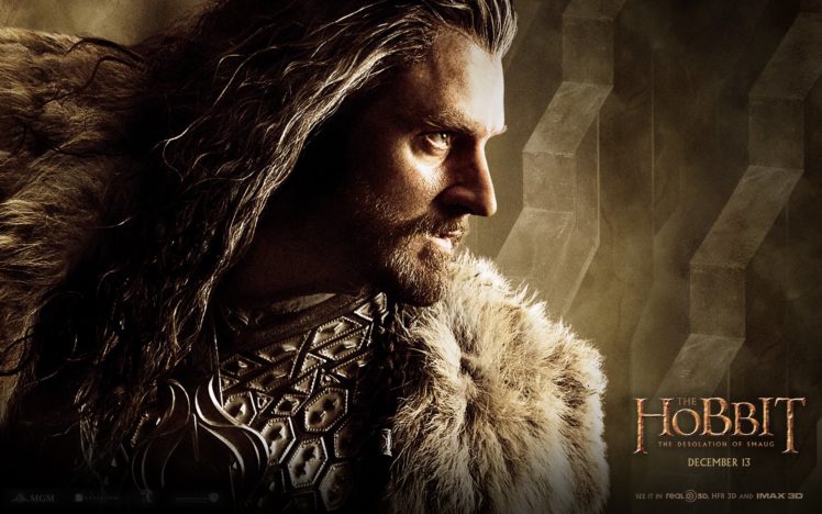 hobbit, Desolation, Smaug, Lotr, Lord, Rings, Adventure, Fantasy HD Wallpaper Desktop Background