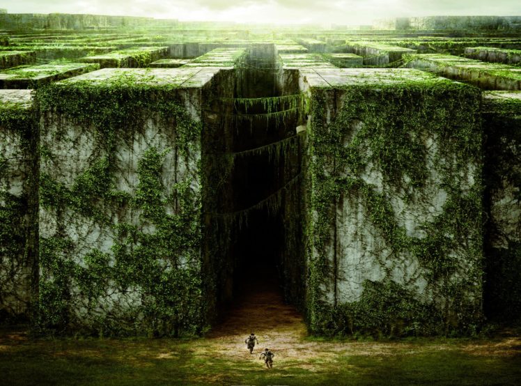 The Maze Runner Action Mystery Thriller Sci Fi Wallpapers Hd Images, Photos, Reviews