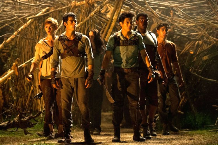 the, Maze, Runner, Action, Mystery, Thriller, Sci fi Wallpapers HD ...