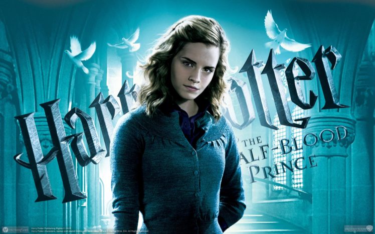 harry, Potter, Fantasy, Adventure, Witch, Series, Wizard, Magic, Poster HD Wallpaper Desktop Background