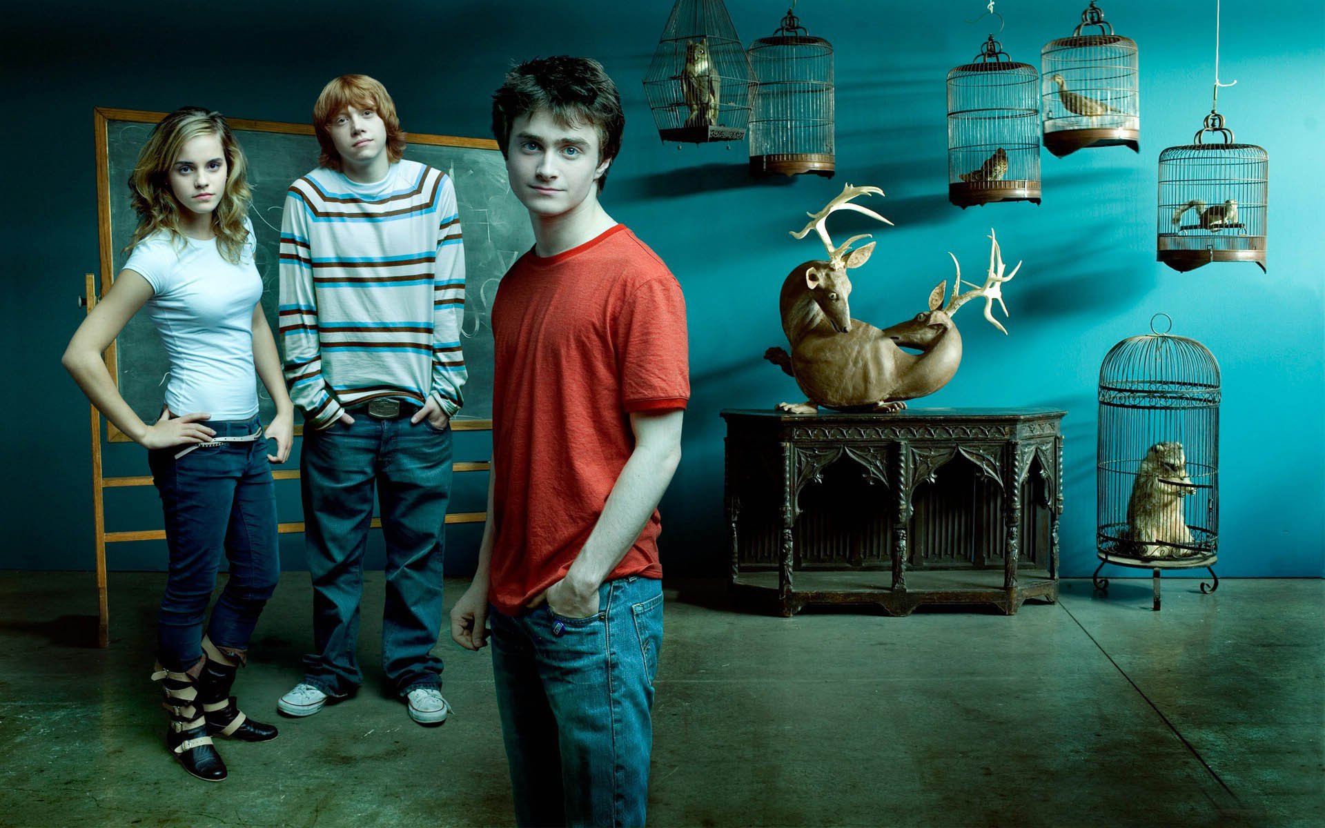harry, Potter, Fantasy, Adventure, Witch, Series, Wizard, Magic, Emma, Watson Wallpaper