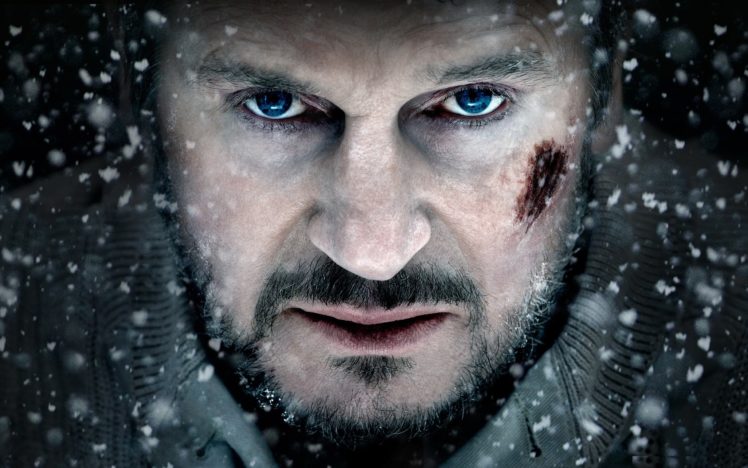 blue, Snow, Eyes, Movies, People, Celebrity, Snowflakes, Actors, Liam, Neeson, Faces, The, Grey HD Wallpaper Desktop Background