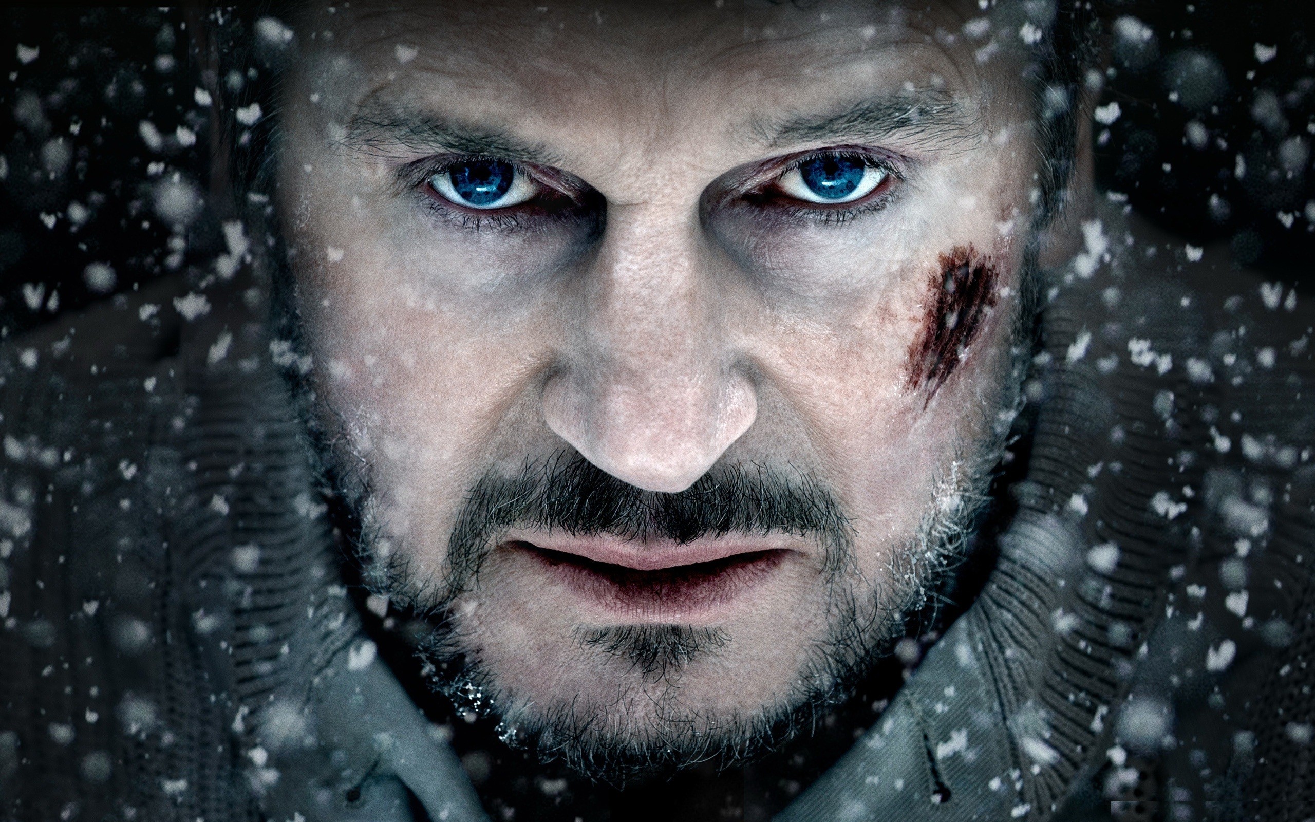 blue, Snow, Eyes, Movies, People, Celebrity, Snowflakes, Actors, Liam, Neeson, Faces, The, Grey Wallpaper