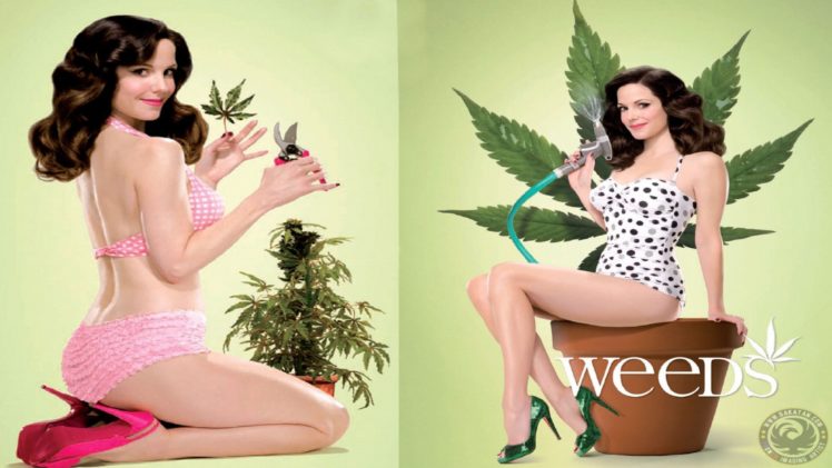 marijuana, Weed, 420, Ganja, Mary, Louise, Parker, Weeds HD Wallpaper Desktop Background