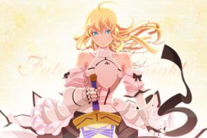 fate stay, Night, Fate, Unlimited, Codes, Saber, Lily, Detached, Sleeves, Fate, Series