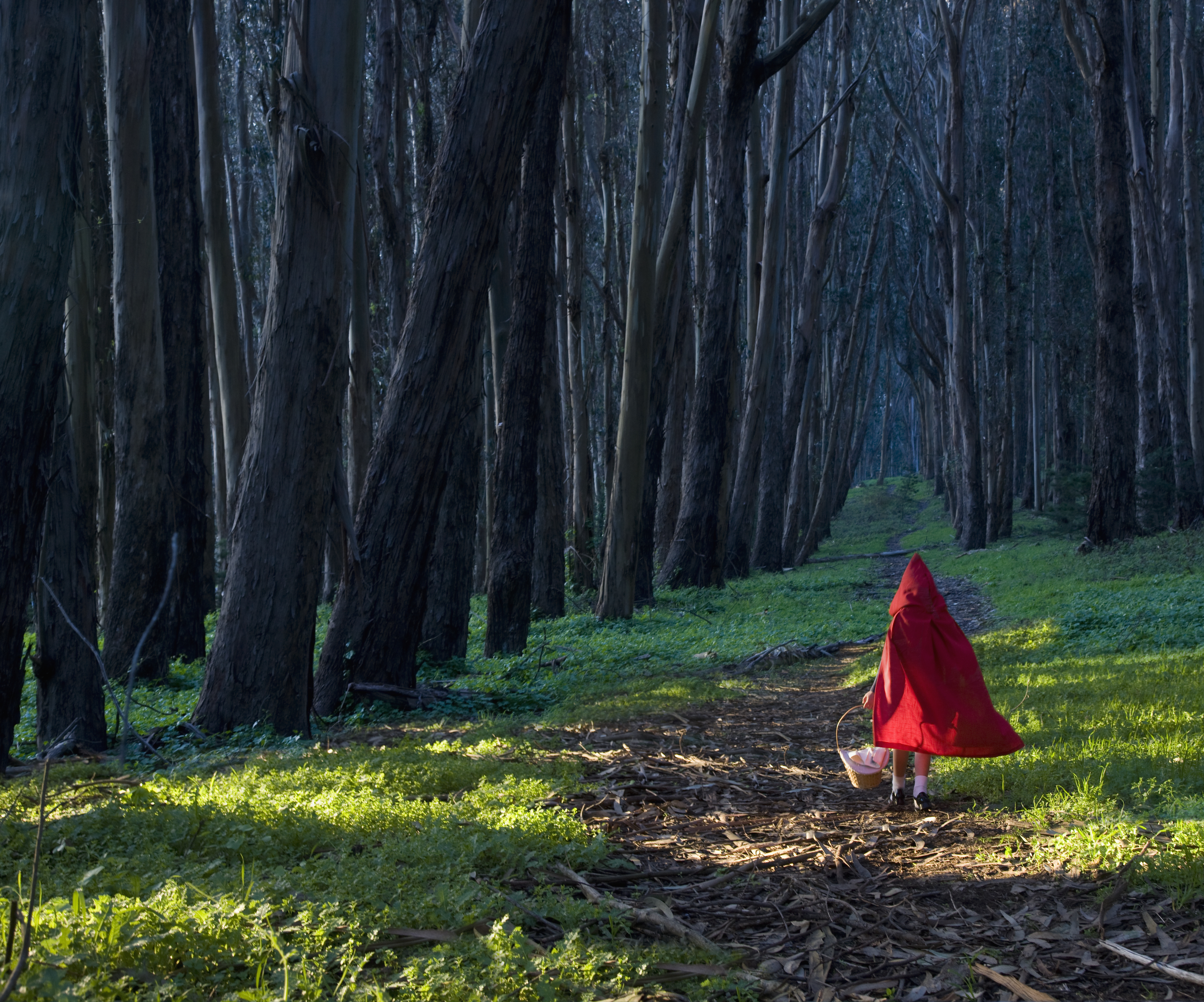 grimm, Supernatural, Drama, Horror, Fantasy, Television, Forest, Mood, Child, Children, Forest Wallpaper