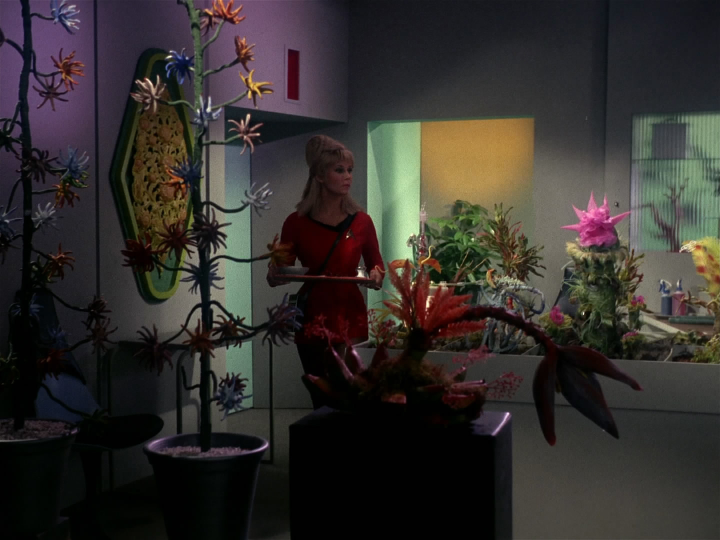 star, Trek, Sci fi, Action, Adventure, Television, Ek Wallpaper