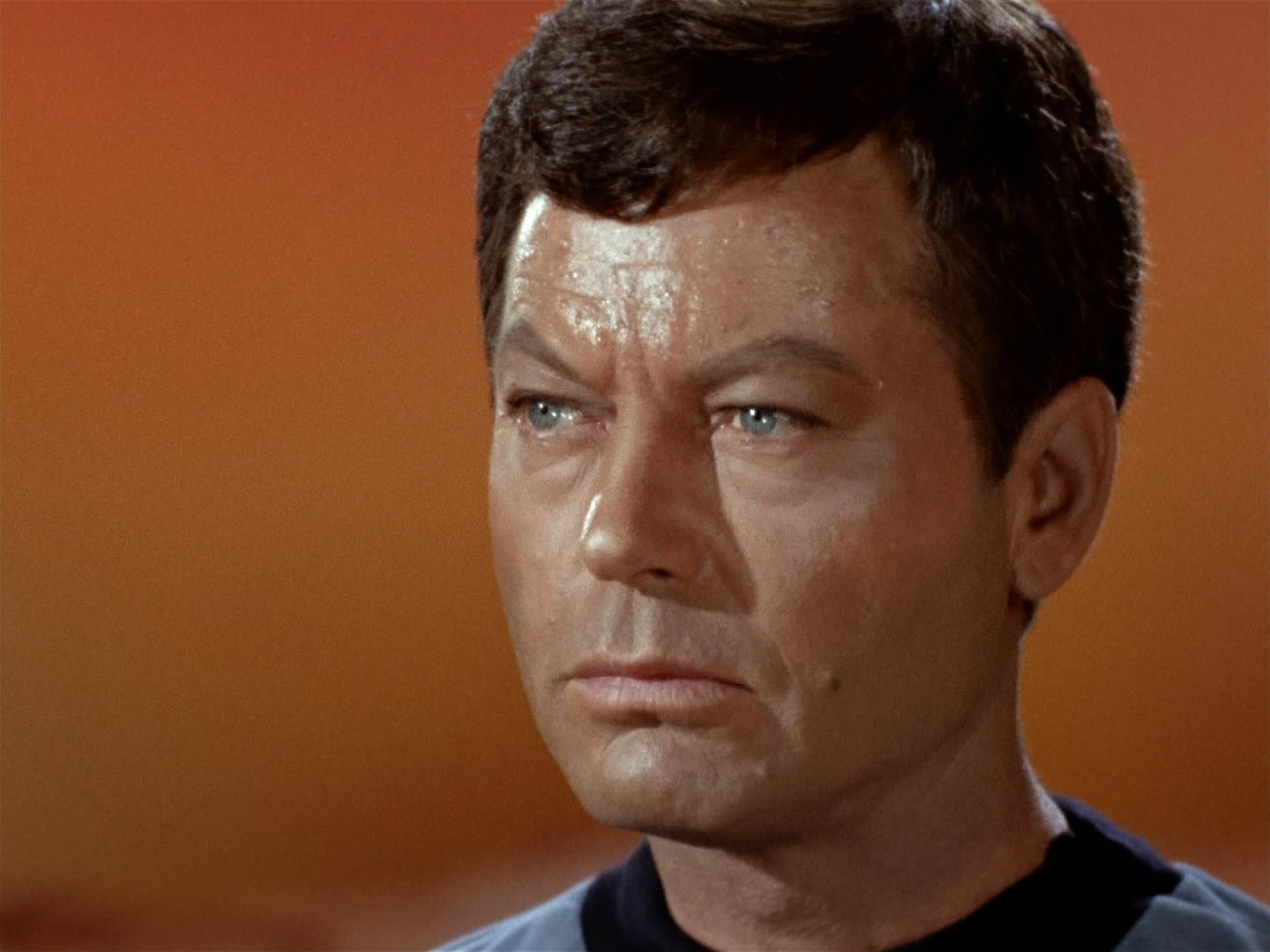 star, Trek, Sci fi, Action, Adventure, Television, Wp Wallpaper