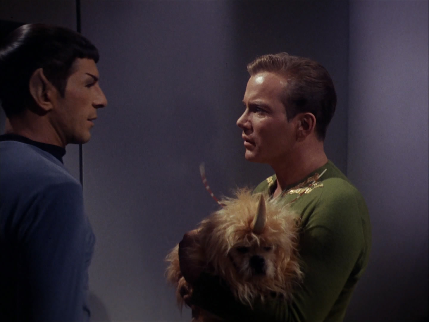 star, Trek, Sci fi, Action, Adventure, Television, The enemy within,  231 Wallpaper