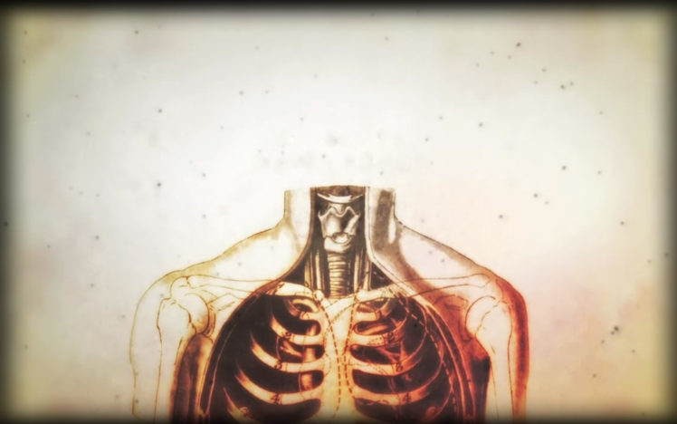 anatomy, Human, Body, House, M, HD Wallpaper Desktop Background