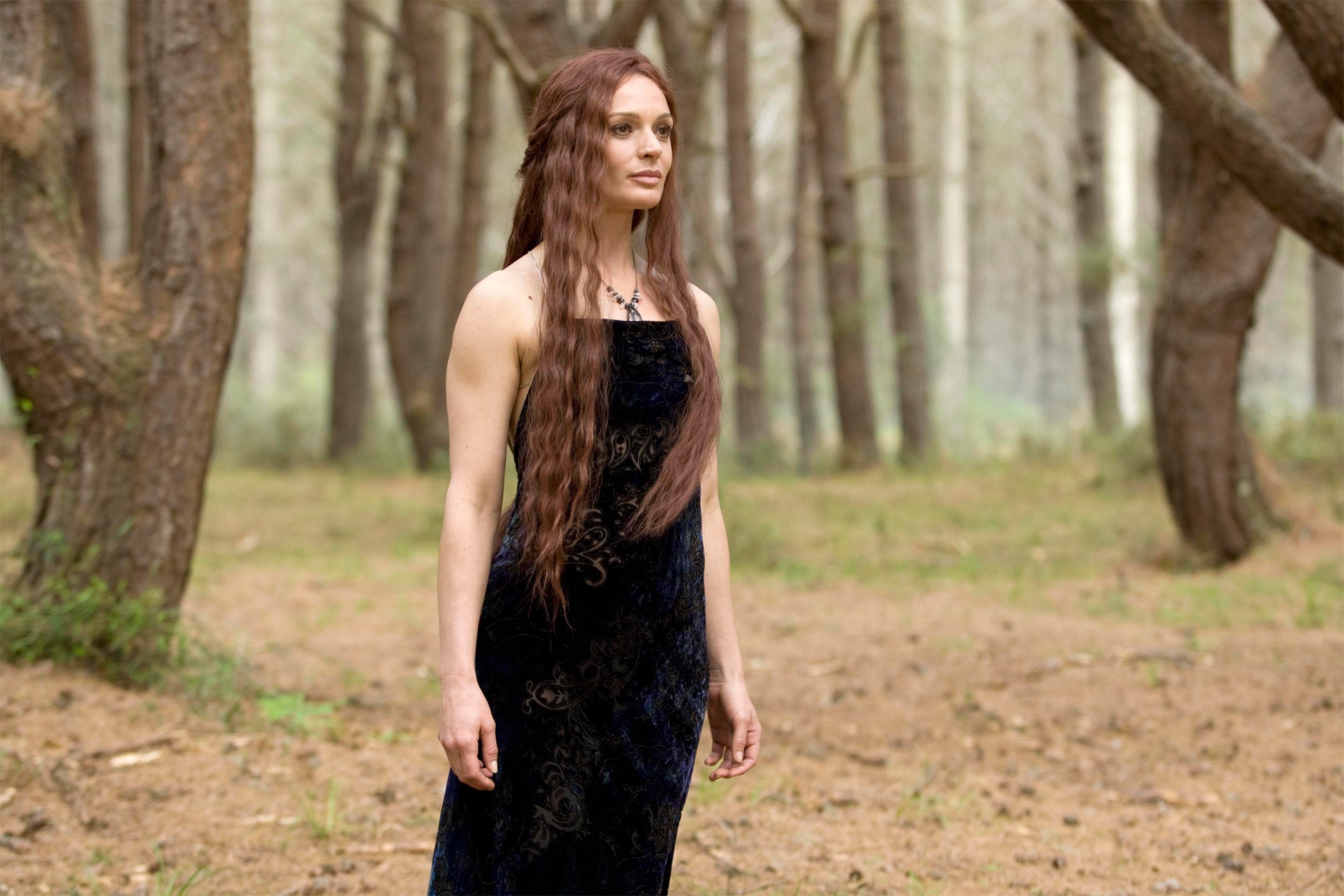 legend, Of, The, Seeker, Adventure, Drama, Fantasy,  116 Wallpaper