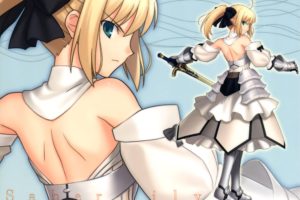 fate, Unlimited, Codes, Saber, Lily, Detached, Sleeves, Fate, Series