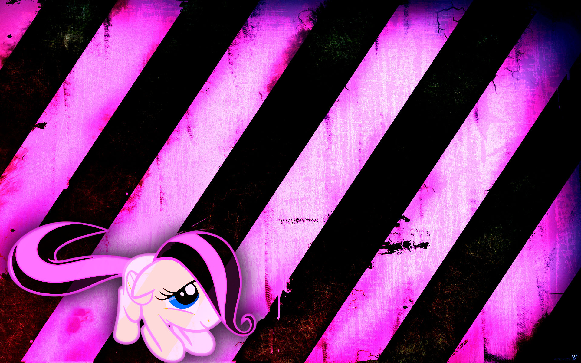 my, Little, Pony, Fluttershy Wallpaper