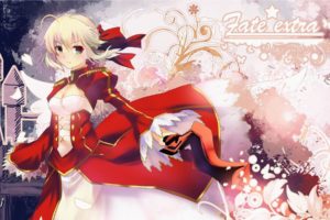 fate stay, Night, Saber, Fate extra, Saber, Extra, Fate, Series