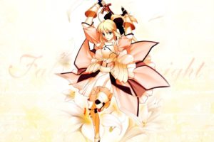 fate stay, Night, Fate, Unlimited, Codes, Type moon, Saber, Saber, Lily, Detached, Sleeves, Fate, Series