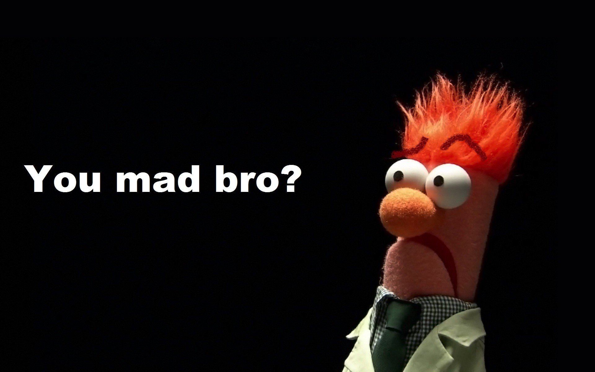the, Muppet, Show Wallpaper