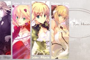 fate stay, Night, Fate, Unlimited, Codes, Saber, Saber, Lily, Fate extra, Saber, Alter, Saber, Extra, Fate, Series
