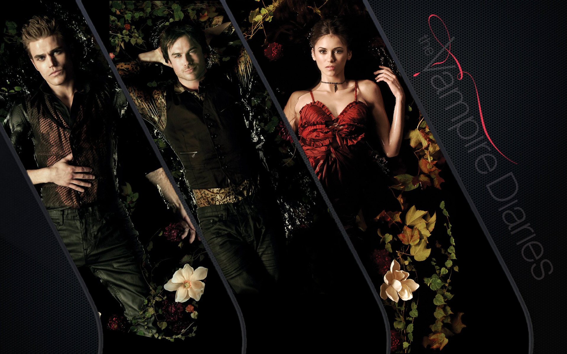 vampire, Diaries, Drama, Fantasy, Horror, Television, Series Wallpaper