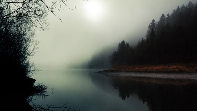 water, Landscapes, Trees, Fog, Twin, Peaks HD Wallpaper Desktop Background