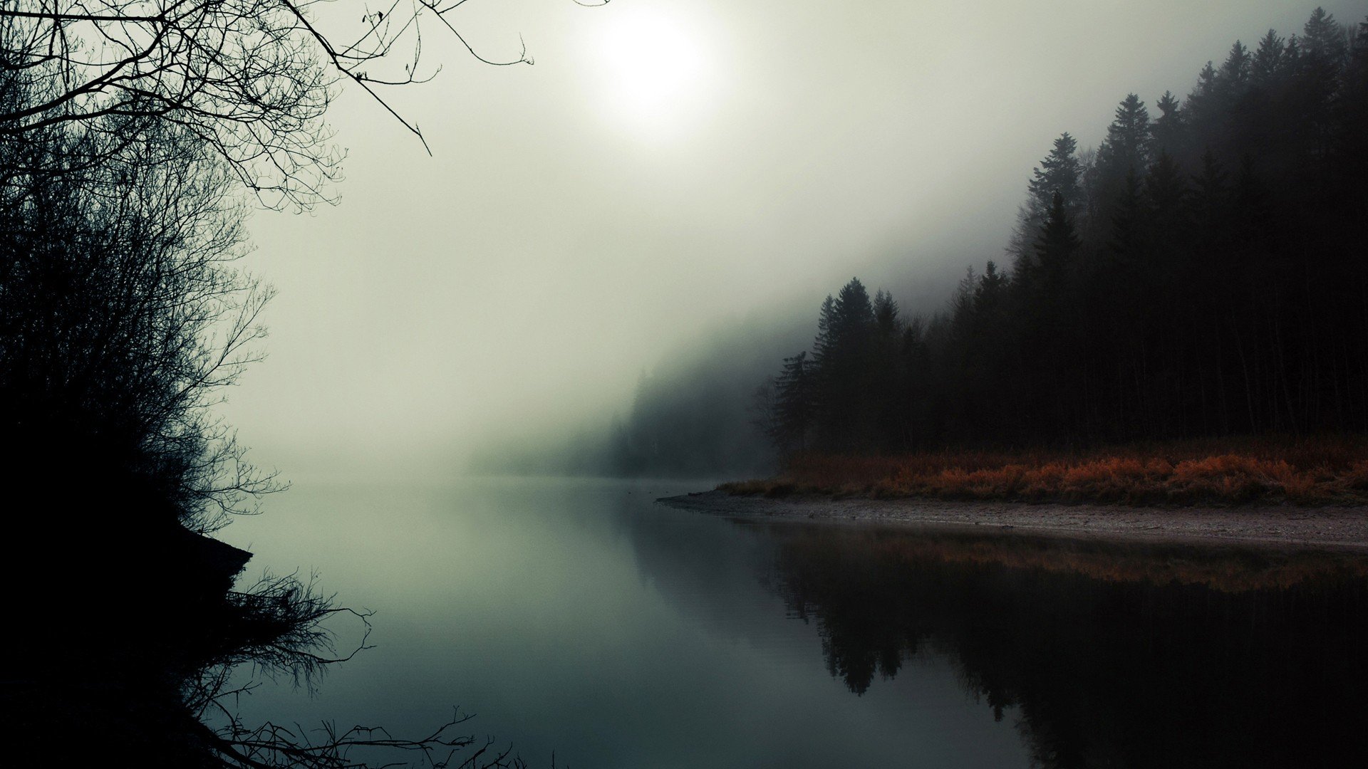 water, Landscapes, Trees, Fog, Twin, Peaks Wallpaper