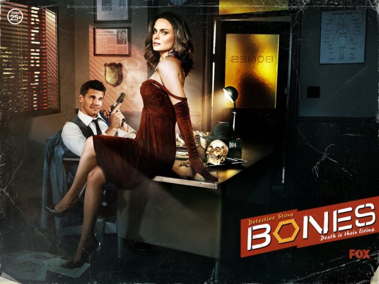 bones, Comedy, Crime, Drama, Series,  6 HD Wallpaper Desktop Background