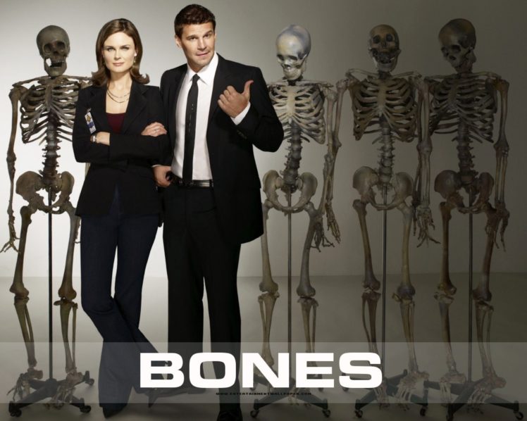 bones, Comedy, Crime, Drama, Series,  45 HD Wallpaper Desktop Background
