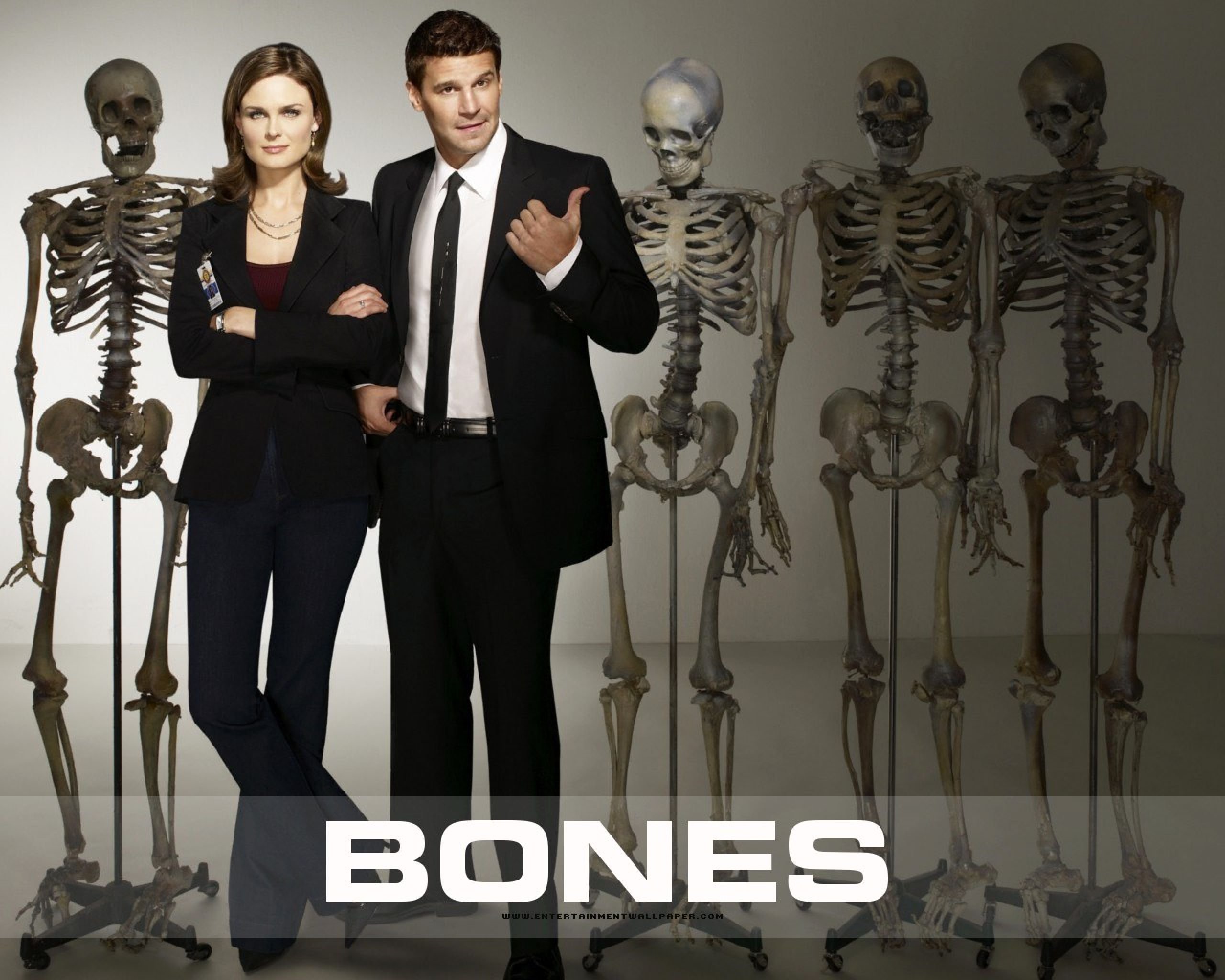 bones, Comedy, Crime, Drama, Series,  45 Wallpaper