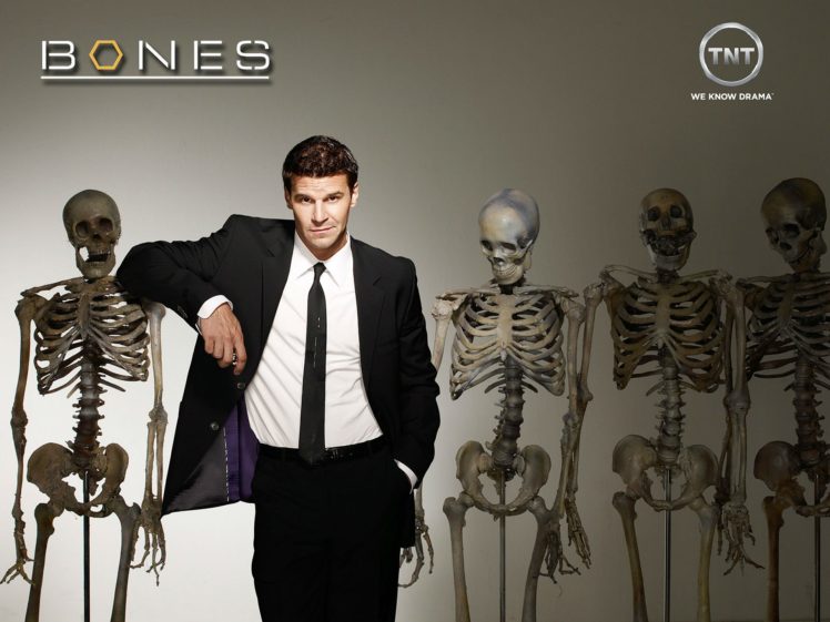bones, Comedy, Crime, Drama, Series,  64 HD Wallpaper Desktop Background