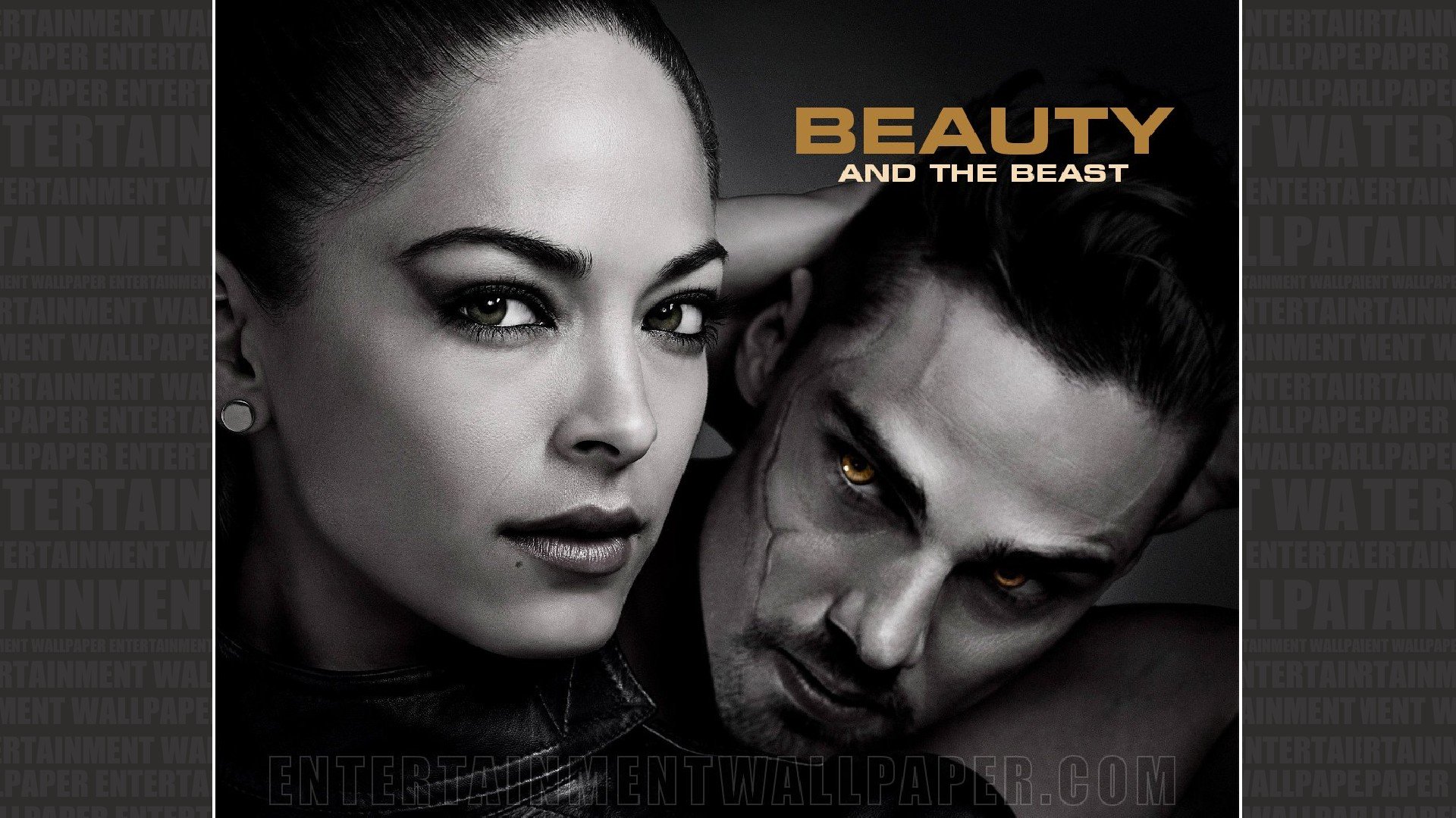 beauty and the beast, Drama, Thriller, Suspense, Romance, Series, Sci fi, Crime, Beauty, Beast,  7 Wallpaper
