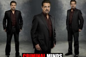 criminal, Minds, Crime, Drama, Mystery, Procedural